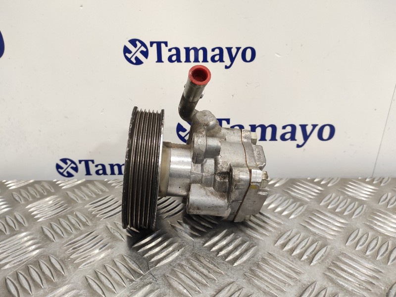 Recambio de bomba direccion para tata vista vista referencia OEM IAM   