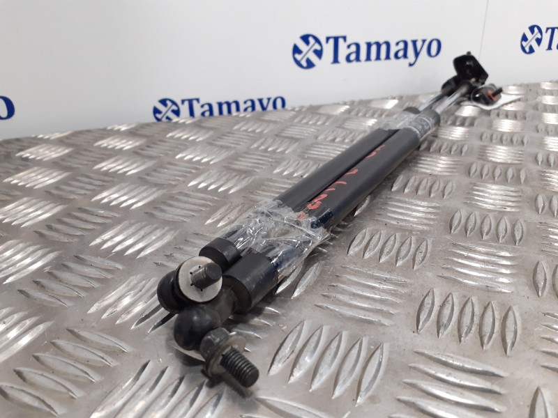 Recambio de amortiguadores capo para subaru forester s12 xs classic referencia OEM IAM   