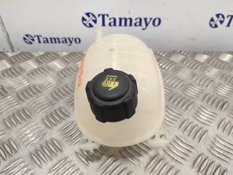 Recambio de deposito expansion para renault captur ii 1.3 tce referencia OEM IAM 217102572R  