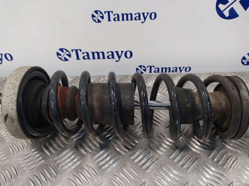 Recambio de amortiguador trasero derecho para bmw serie 5 berlina (e60) 535d referencia OEM IAM   