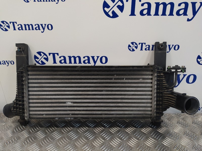 Recambio de intercooler para nissan pathfinder (r51) 2.5 dci diesel cat referencia OEM IAM 144615X00A  V4454002