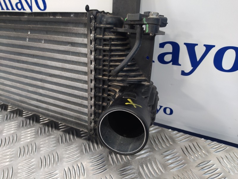 Recambio de intercooler para nissan pathfinder (r51) 2.5 dci diesel cat referencia OEM IAM 144615X00A  V4454002