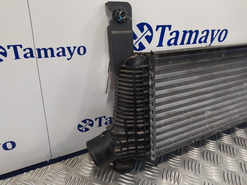 Recambio de intercooler para nissan pathfinder (r51) 2.5 dci diesel cat referencia OEM IAM 144615X00A  V4454002
