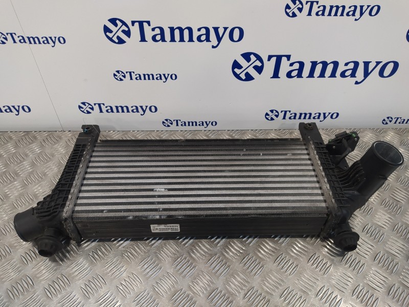 Recambio de intercooler para nissan pathfinder (r51) 2.5 dci diesel cat referencia OEM IAM 144615X00A  V4454002