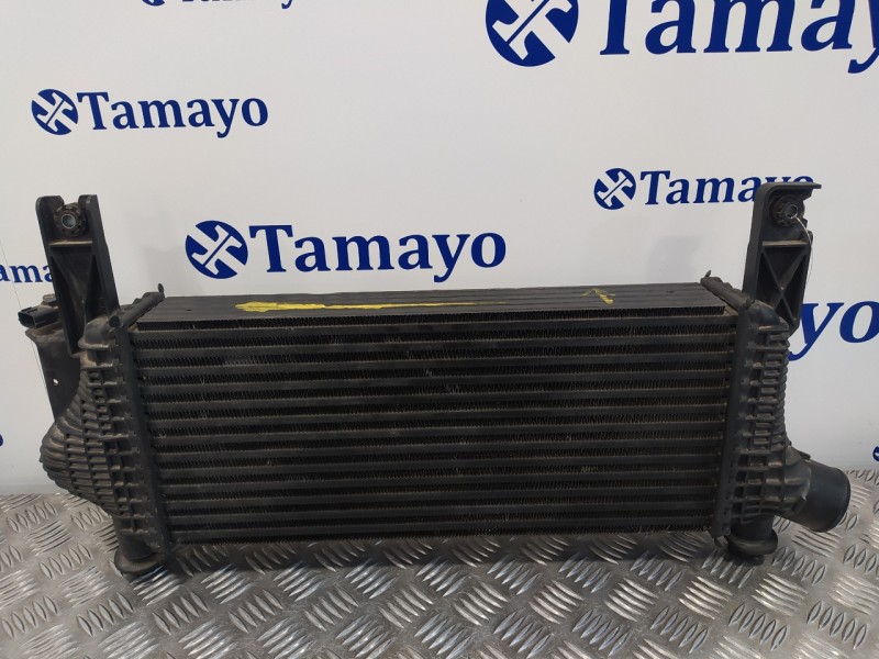 Recambio de intercooler para nissan pathfinder (r51) 2.5 dci diesel cat referencia OEM IAM 144615X00A  V4454002