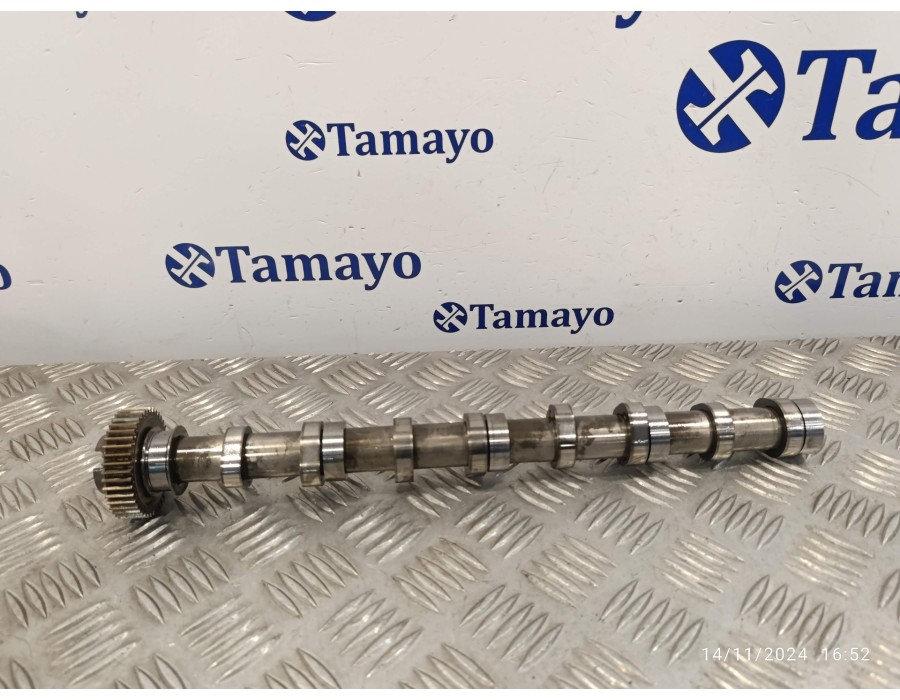 Recambio de arbol de levas para volkswagen t5 transporter (7e) 2.0 tdi referencia OEM IAM 03L101  56399801