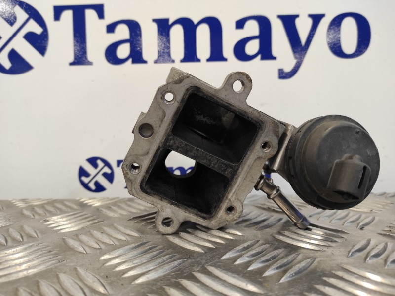 Recambio de valvula egr para volkswagen golf v berlina (1k1) 2.0 tdi referencia OEM IAM 03G131063F  