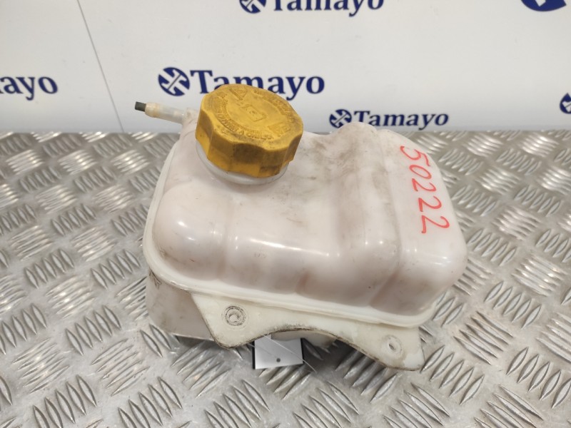Recambio de deposito expansion para chevrolet lacetti 2.0 diesel cat referencia OEM IAM   