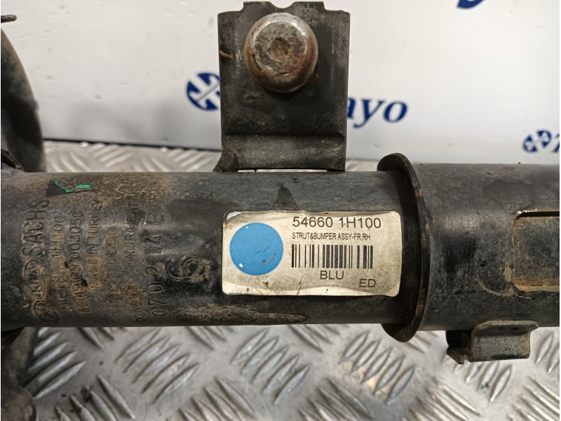 Recambio de amortiguador delantero derecho para kia cee´d 1.6 crdi cat referencia OEM IAM 546601H100  