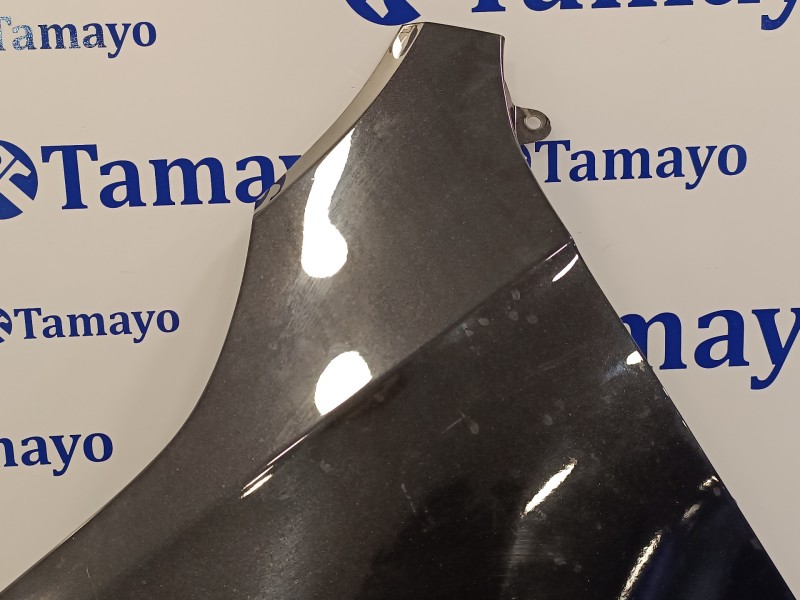 Recambio de aleta delantera izquierda para skoda rapid 1.6 tdi dpf referencia OEM IAM   