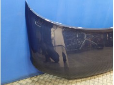 Recambio de capot para volkswagen t5 bus 1.9 tdi cat (brr) referencia OEM IAM    2