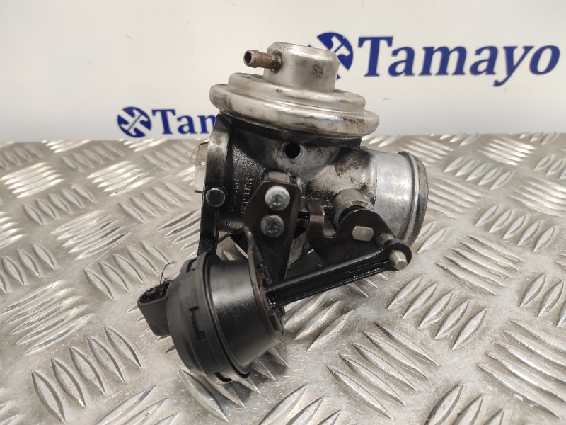 Recambio de valvula egr para volkswagen golf iv berlina (1j1) 1.9 tdi referencia OEM IAM 038131501E  