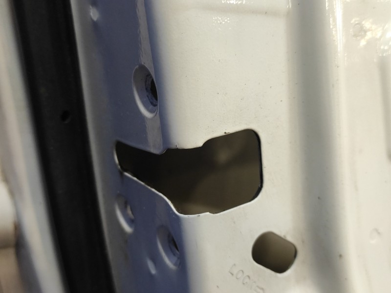Recambio de puerta trasera izquierda para nissan pathfinder (r51) 2.5 dci diesel cat referencia OEM IAM   