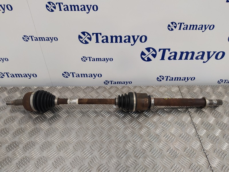 Recambio de transmision delantera derecha para renault megane iii sport tourer 1.5 dci diesel referencia OEM IAM 8200725502  