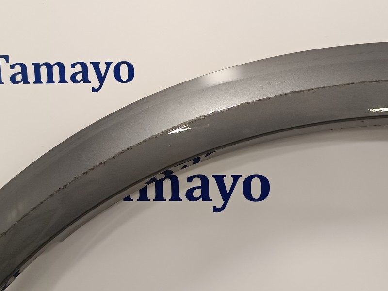 Recambio de aletin delantero izquierdo para cupra formentor km (fm6) referencia OEM IAM 5FF853717H  SE0494Y10