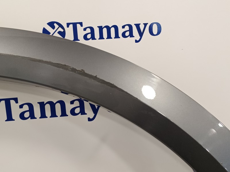 Recambio de aletin delantero izquierdo para cupra formentor km (fm6) referencia OEM IAM 5FF853717H  SE0494Y10