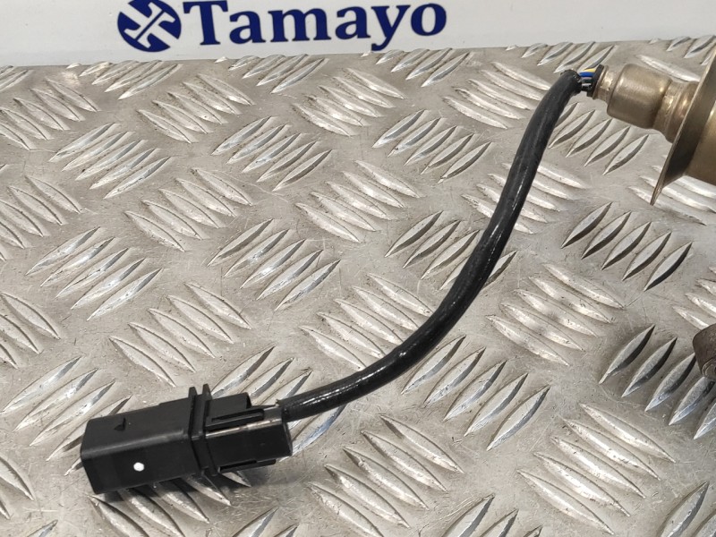 Recambio de catalizador para hyundai i20 active 1.0 tgdi cat referencia OEM IAM 04HC0  19L02M2028