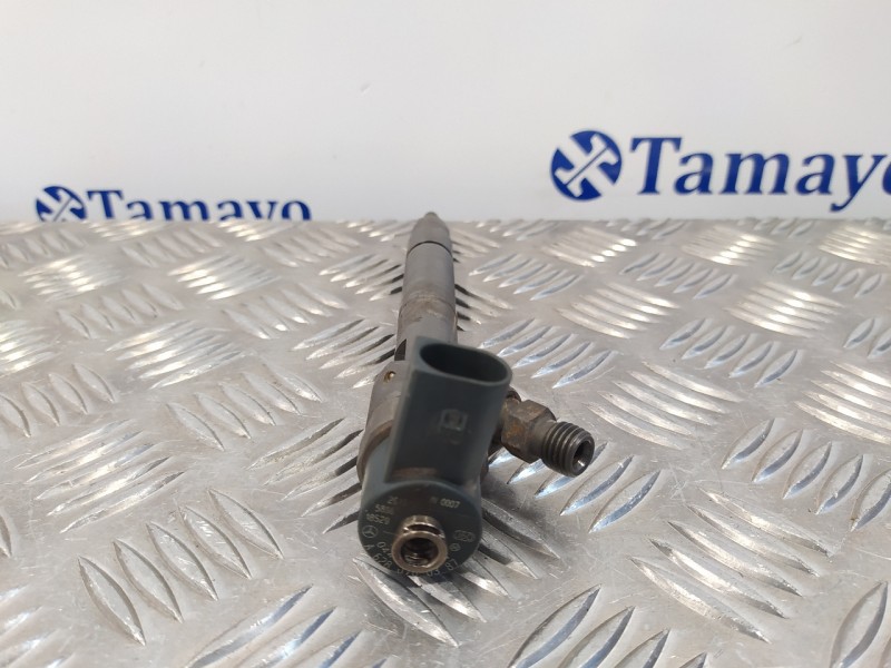 Recambio de inyector para mercedes-benz clase s (w220) berlina referencia OEM IAM A6280700387  0445110094