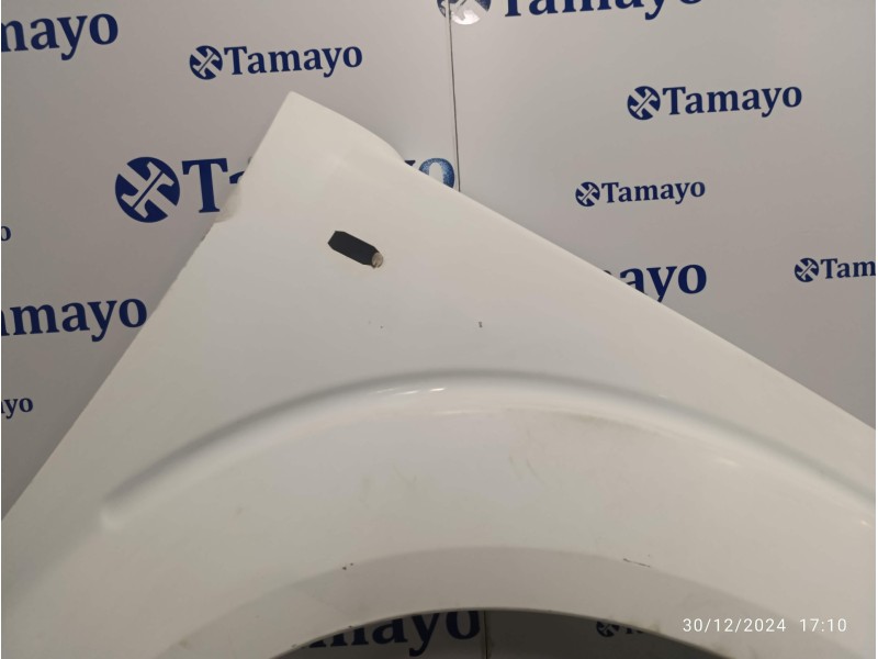 Recambio de aleta delantera derecha para nissan pathfinder (r51) 2.5 dci diesel cat referencia OEM IAM   