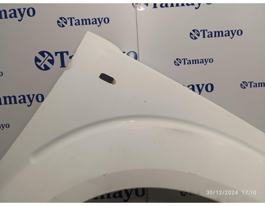 Recambio de aleta delantera derecha para nissan pathfinder (r51) 2.5 dci diesel cat referencia OEM IAM   