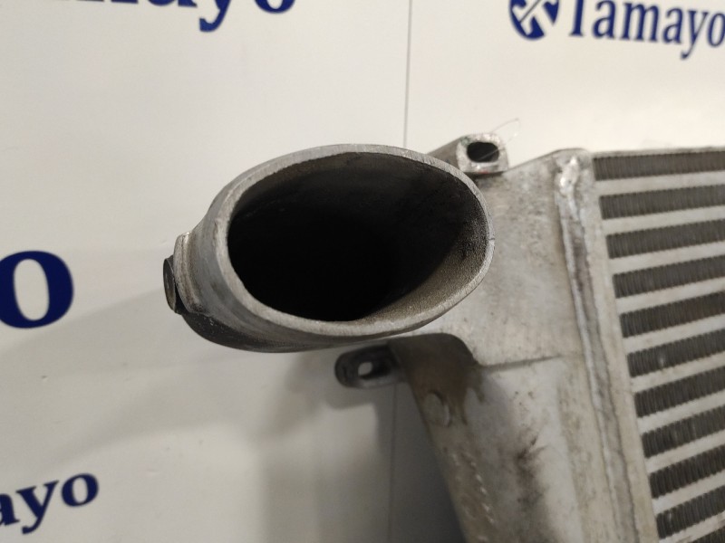 Recambio de intercooler para nissan cabstar tl35 tl35 referencia OEM IAM 13003005SF  