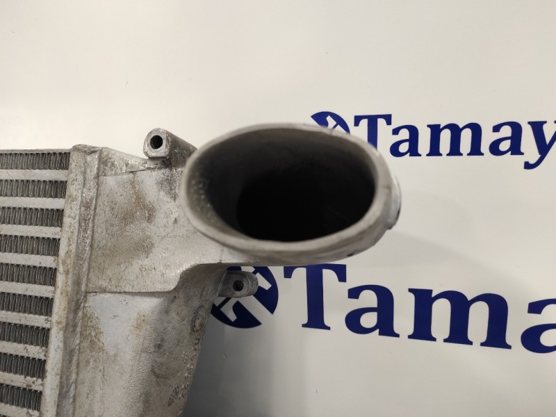 Recambio de intercooler para nissan cabstar tl35 tl35 referencia OEM IAM 13003005SF  