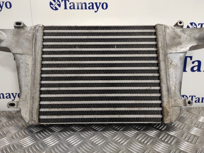 Recambio de intercooler para nissan cabstar tl35 tl35 referencia OEM IAM 13003005SF  