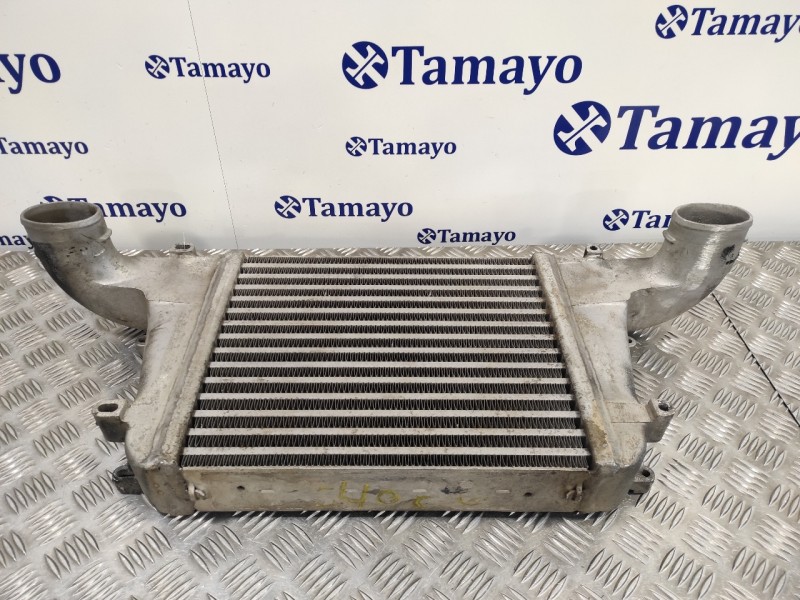 Recambio de intercooler para nissan cabstar tl35 tl35 referencia OEM IAM 13003005SF  