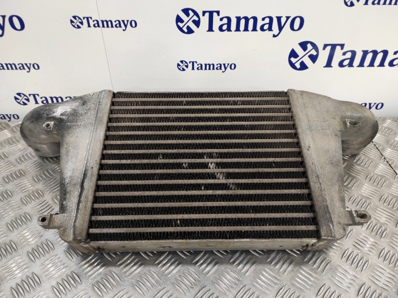 Recambio de intercooler para nissan cabstar tl35 tl35 referencia OEM IAM 13003005SF  