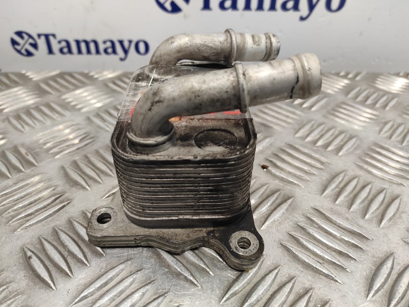 Recambio de enfriador aceite motor para dacia lodgy 1.2 16v tce cat referencia OEM IAM 213052032R  