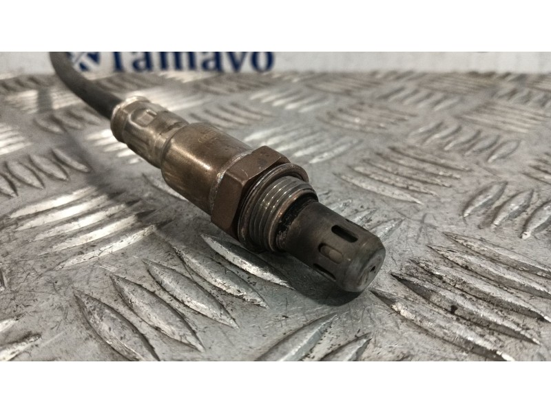 Recambio de sonda lambda para volkswagen golf plus v (5m1, 521) 2.0 tdi 16v referencia OEM IAM 0ZA629V6  