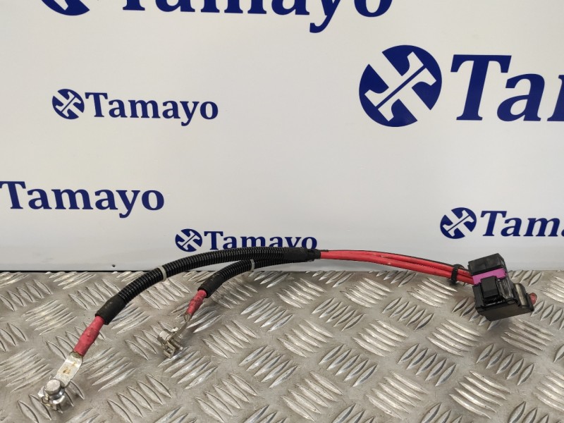 Recambio de cable para bmw serie 6 coupe (f13) (....) referencia OEM IAM 513690B03  9233748