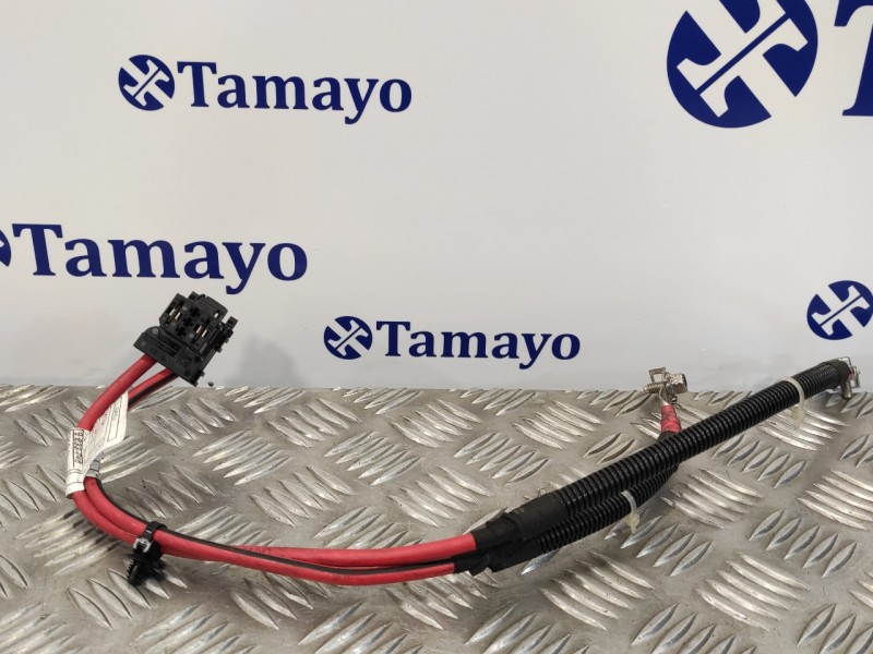 Recambio de cable para bmw serie 6 coupe (f13) (....) referencia OEM IAM 513690B03  9233748