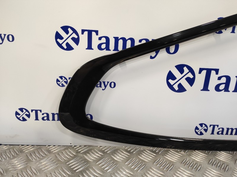 Recambio de moldura para bmw serie 6 coupe (f13) (....) referencia OEM IAM 7255591  7255591AI07