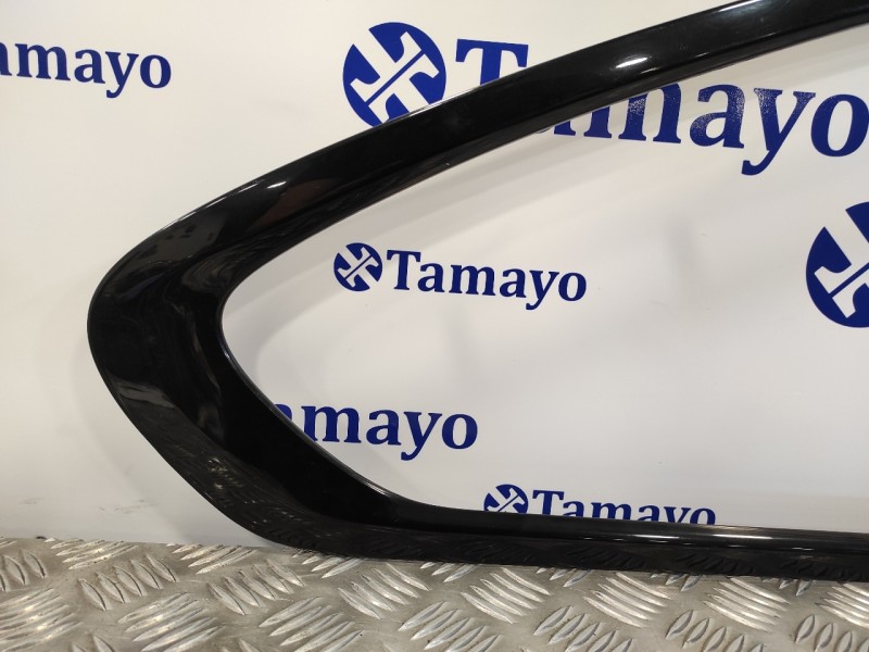 Recambio de moldura para bmw serie 6 coupe (f13) (....) referencia OEM IAM 7255592  7255592AI07