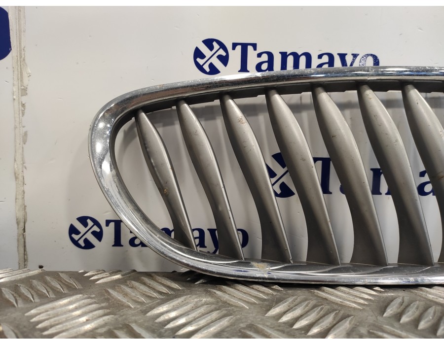Recambio de rejilla delantera para bmw z4 roadster (e85) 2.0 16v cat referencia OEM IAM 51137051960 51137117760 51137018218
