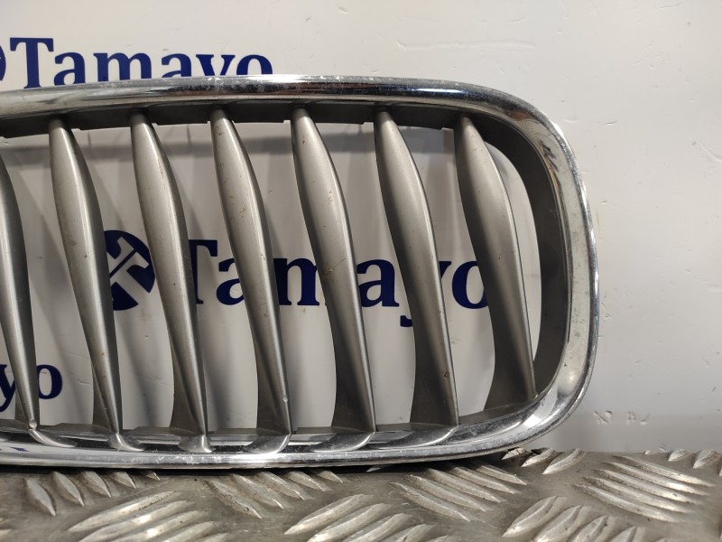 Recambio de rejilla delantera para bmw z4 roadster (e85) 2.0 16v cat referencia OEM IAM 51137051960 51137117760 51137018218