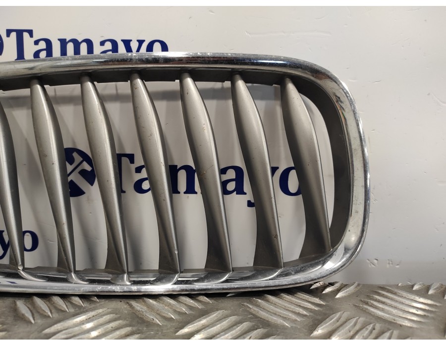 Recambio de rejilla delantera para bmw z4 roadster (e85) 2.0 16v cat referencia OEM IAM 51137051960 51137117760 51137018218
