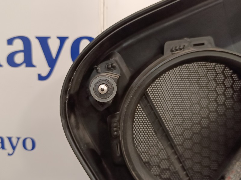 Recambio de guarnecido puerta trasera izquierda para volkswagen passat variant (365) 2.0 tdi dpf referencia OEM IAM 3AF867211  