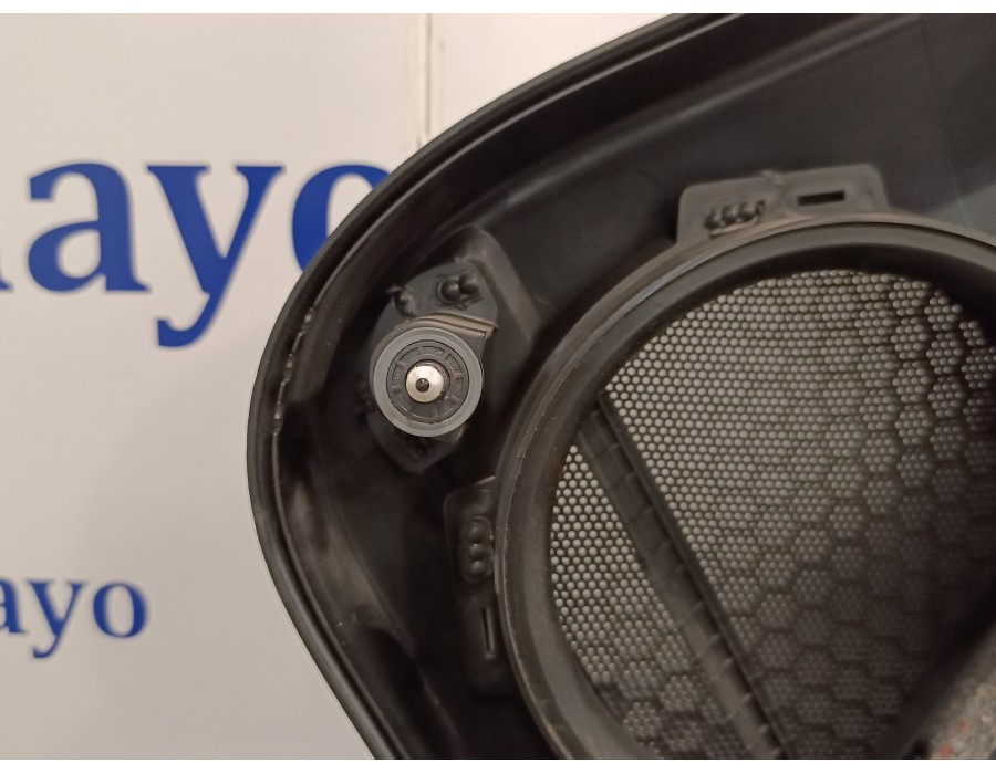 Recambio de guarnecido puerta trasera izquierda para volkswagen passat variant (365) 2.0 tdi dpf referencia OEM IAM 3AF867211  