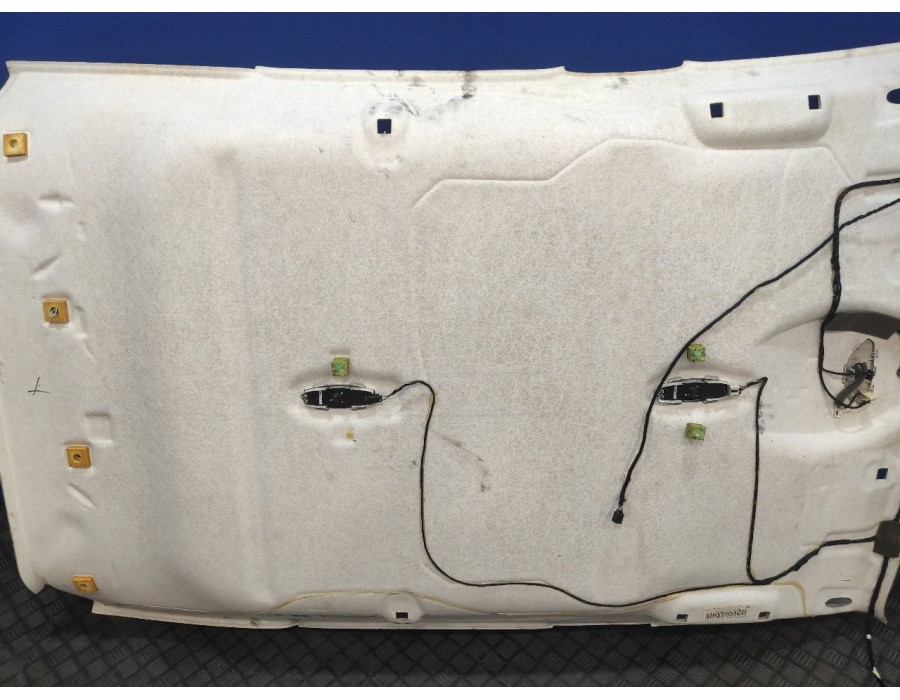 Recambio de techo interior para ford focus lim. (cb8) 1.6 tdci cat referencia OEM IAM 195053960  