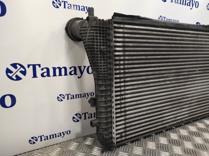 Recambio de intercooler para volkswagen golf v berlina (1k1) 1.4 16v tsi referencia OEM IAM 1K0145803T  