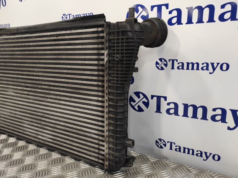 Recambio de intercooler para volkswagen golf v berlina (1k1) 1.4 16v tsi referencia OEM IAM 1K0145803T  