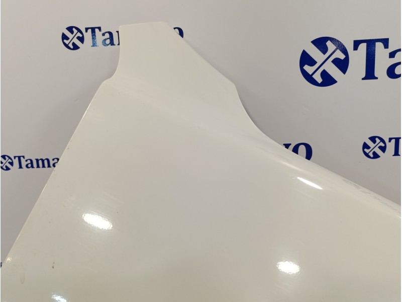 Recambio de aleta delantera derecha para hyundai santa fe (bm) 2.2 crdi style 4x4 referencia OEM IAM   