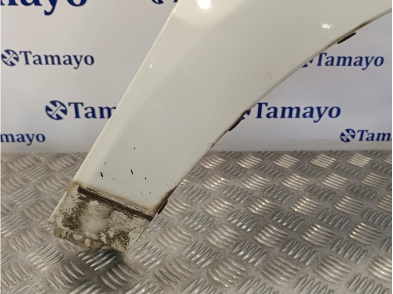 Recambio de aleta delantera derecha para hyundai santa fe (bm) 2.2 crdi style 4x4 referencia OEM IAM   