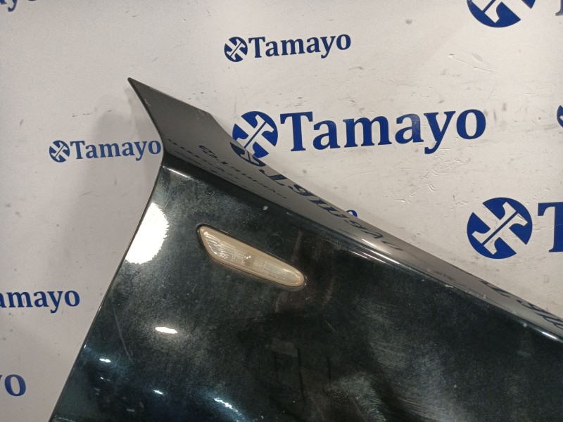 Recambio de aleta delantera derecha para bmw serie 1 berlina (e81/e87) 2.0 cat referencia OEM IAM   