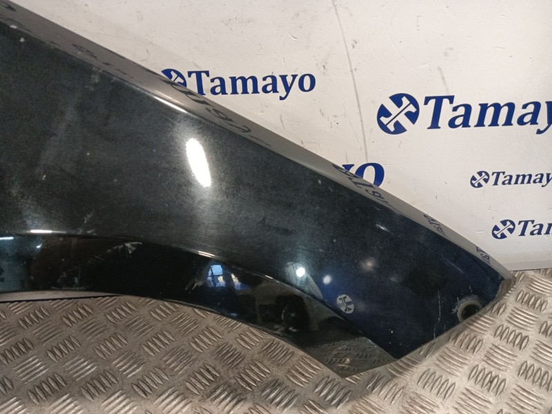 Recambio de aleta delantera derecha para bmw serie 1 berlina (e81/e87) 2.0 cat referencia OEM IAM   