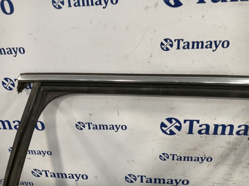 Recambio de gomas contorno puerta para skoda octavia lim. (5e3) referencia OEM IAM   