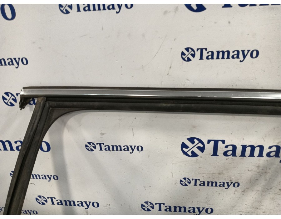 Recambio de gomas contorno puerta para skoda octavia lim. (5e3) referencia OEM IAM   