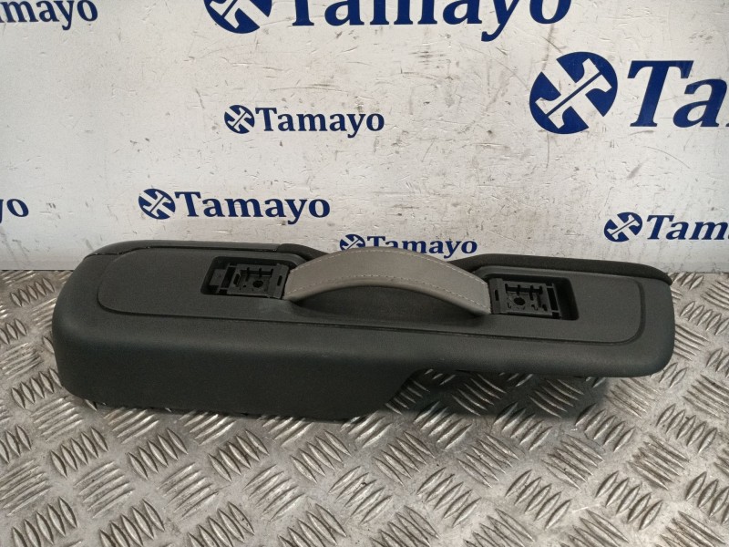 Recambio de moldura puerta delantera derecha para citroën c3 referencia OEM IAM 98137842  